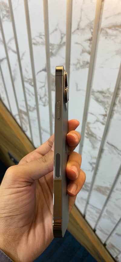 13 Pro Max 1TB