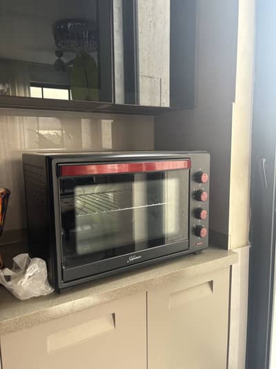 Electric oven