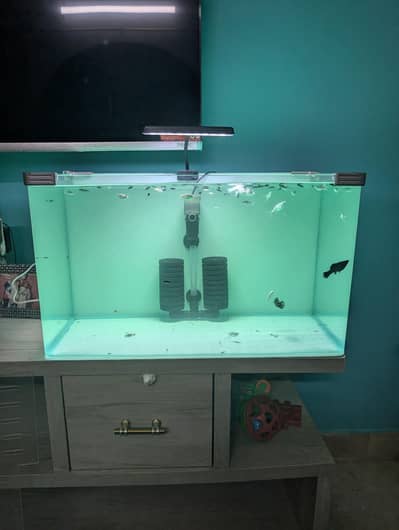 Imported curved Aquarium