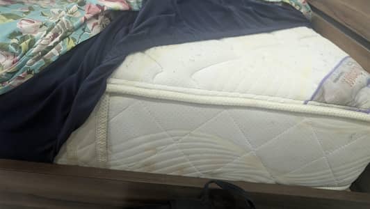 Master Celeste Spring Mattress