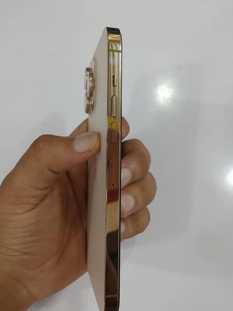 Apple iPhone 13 Pro Max 1