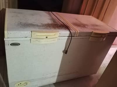 Waves 2 door Deep Freezer Urgent sale