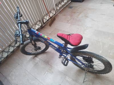 Roman Bike MTB 2020