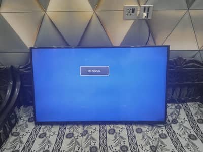 43 inch LED for Sale