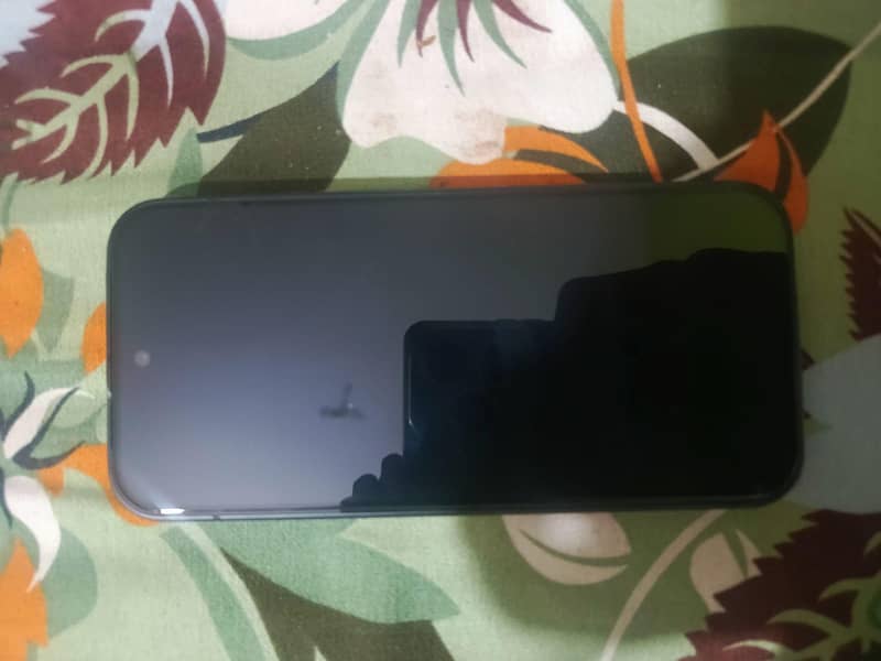 Google Pixel 9 1