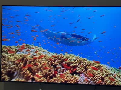 Almost Brand New Haeir QLED smart 65’ TV hot sale