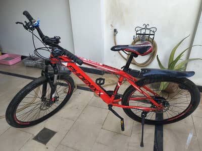 Phoenix MTB professional cycle