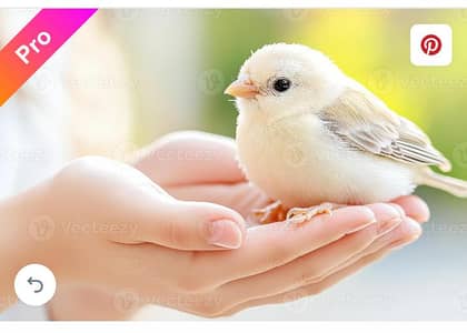 I need house keeping job in guest house and hotel