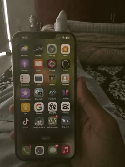 Apple iPhone 13 Pro Max
