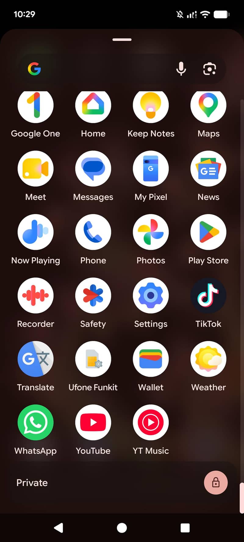 Google Pixel 6 9