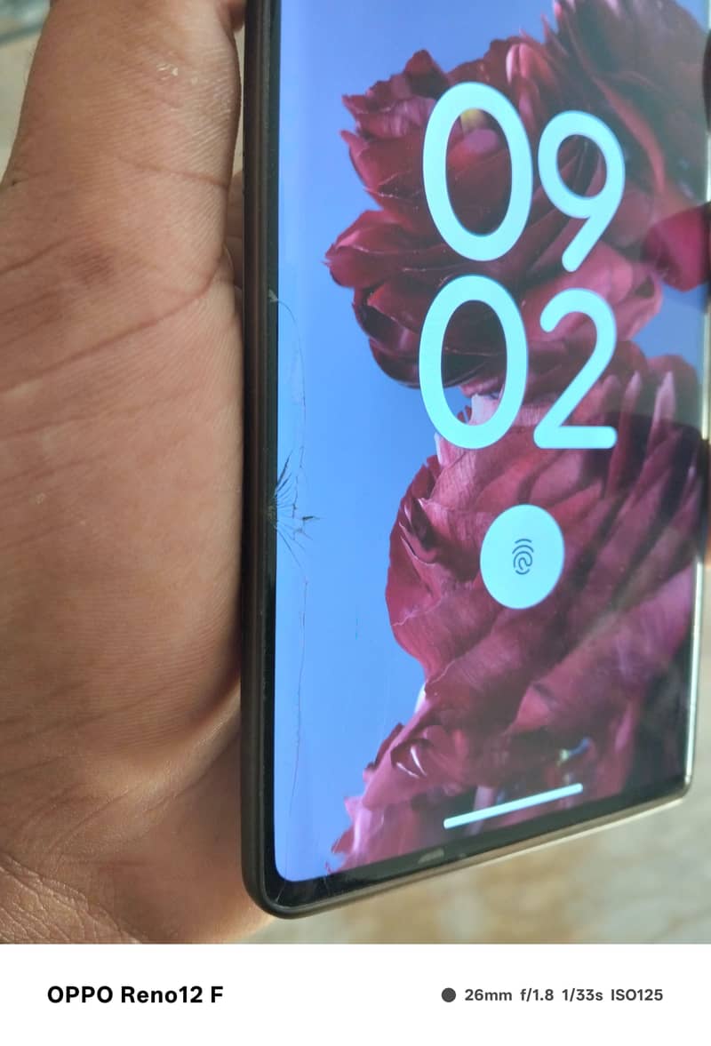 Google Pixel 6 Pro 1