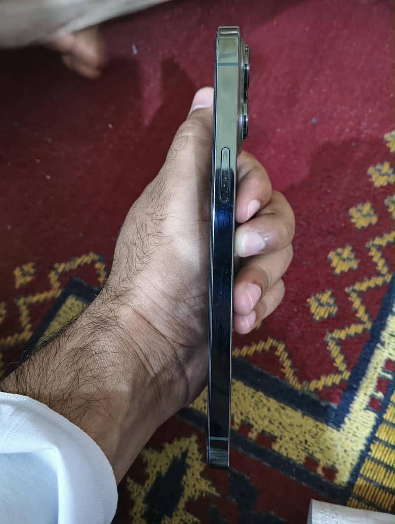 Apple iPhone 13 Pro Max 1