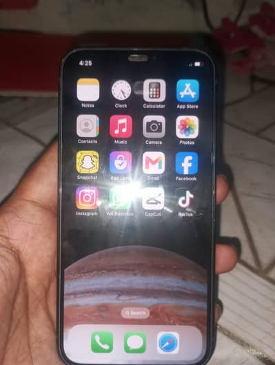 Apple iPhone 12