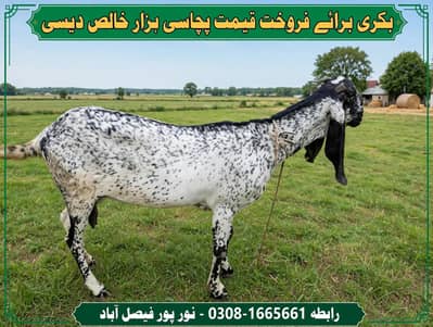 no message only call