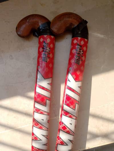 Hockey sticks wtsp = 0 3 3 1 3 7 9 1 8 8 1