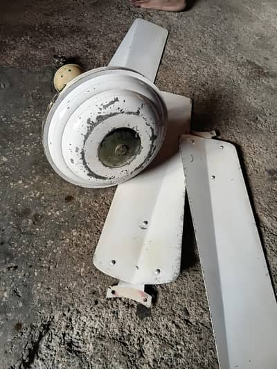 Super Asia ceiling fan