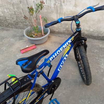Title: Two Bicycles for Sale – Large & Small – Excellent Condition