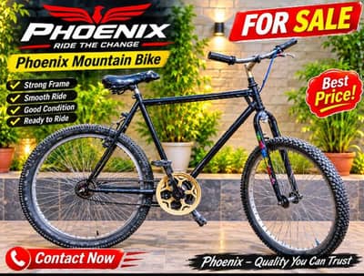 Phoenix Mountain Cycle 26 Inch- strong frame- ready to ride
