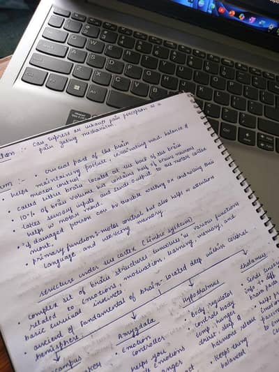 Experienced Content & Assignment Writer