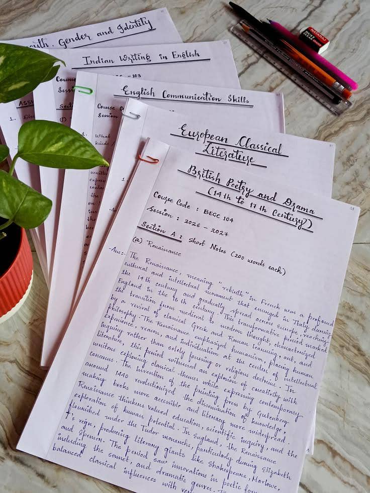 Experienced Content & Assignment Writer 1