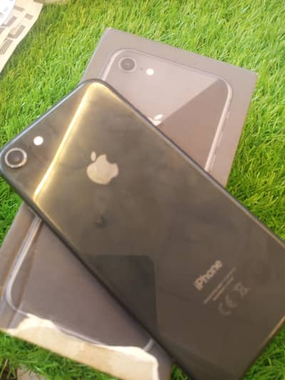 Apple iPhone 8