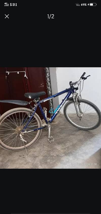 Giant Bicycle