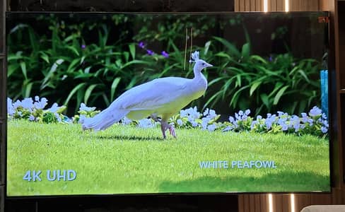 Brand -New 75-inch TCL QLED TV With Dolby For Sale;