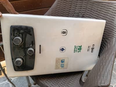 instant gas geyser