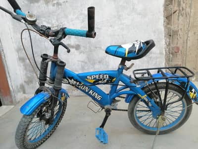 kids bicycle