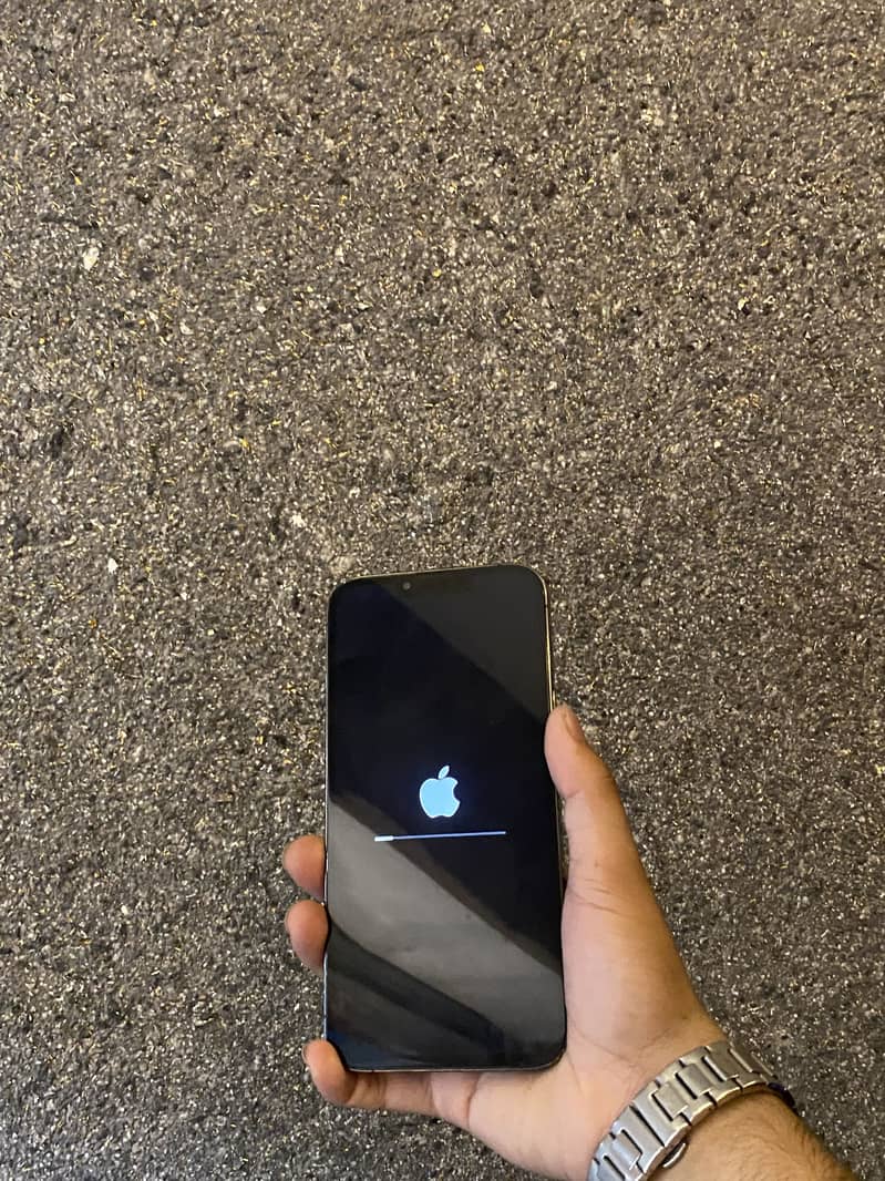 Apple iPhone 13 Pro Max 1