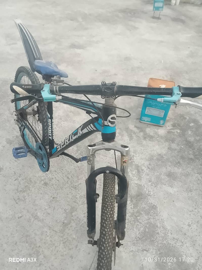 full size bycycle 1