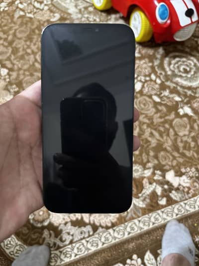 Apple iPhone 12 Pro Max PTA approved