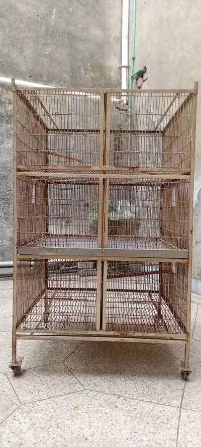 Parrot cage