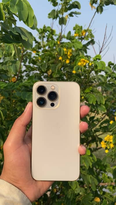 iPhone 13 Pro