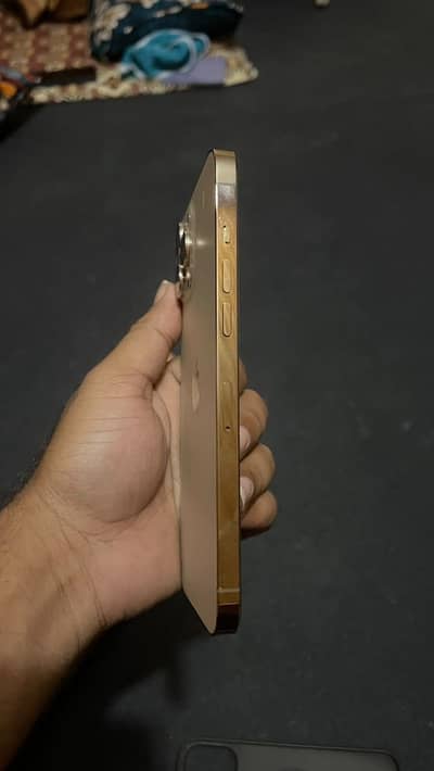 Apple iPhone 12 Pro Max