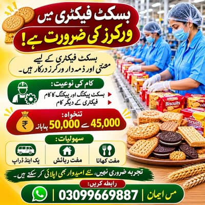 factory jobs,male jobs, packing and scanning work, Lahore jobs