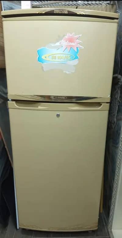 waves fridge