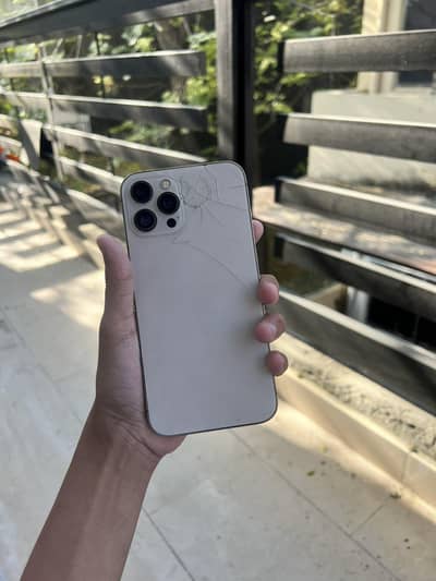 iPhone 12 Pro Max read add