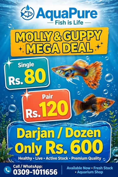 AquaPure Molly & Guppy Mega Deal – Special Discount Offer!