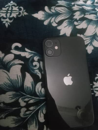 iphone 11 water pack