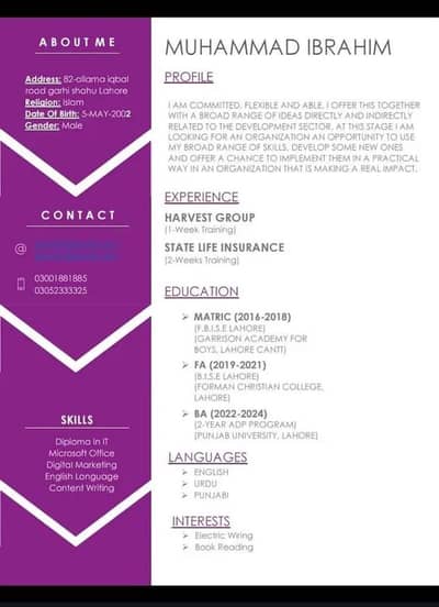 Entry Level Job
