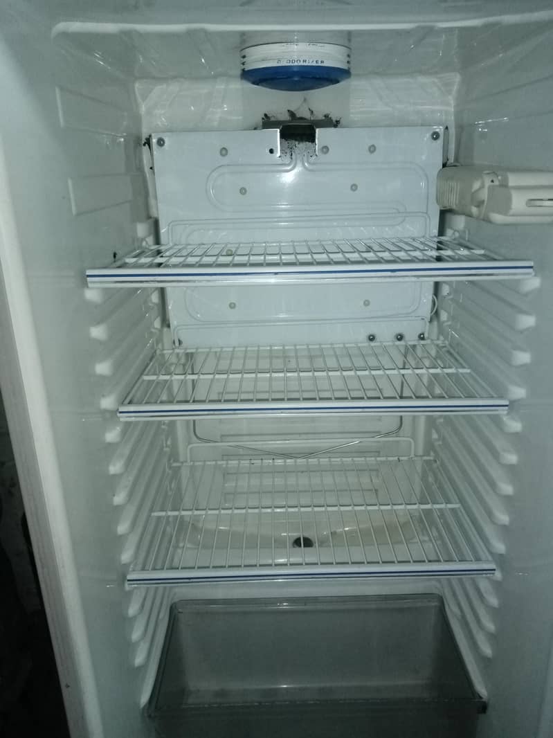 fridge 1