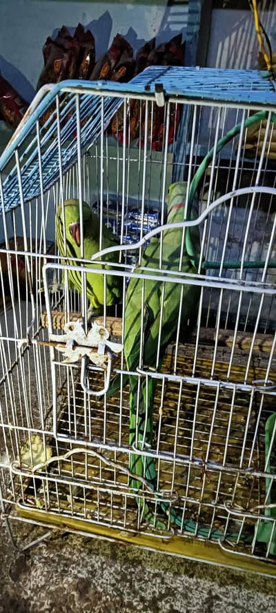 pair for sale hand time
