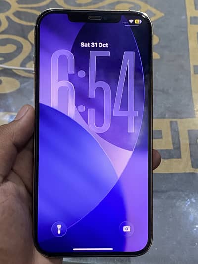 Apple iPhone 12 Pro Max