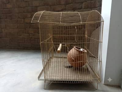 Cage for birds