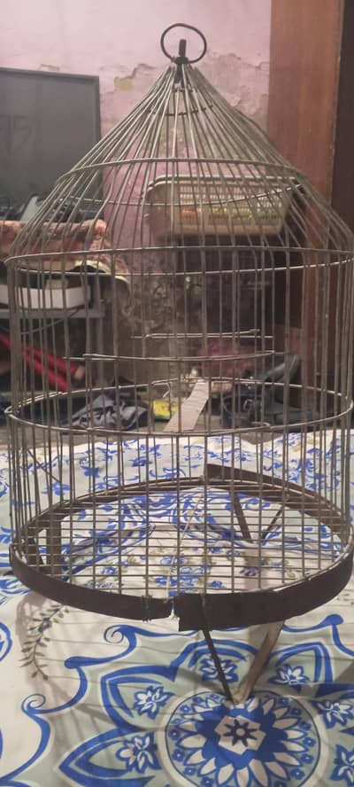 big bird cage