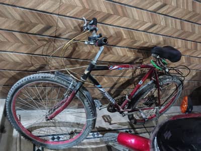 Phoneix made gear cycle with 6 gear transmission