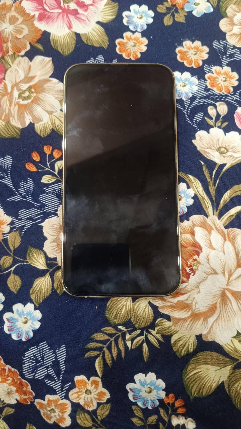 Apple iPhone 13 Pro Max 1