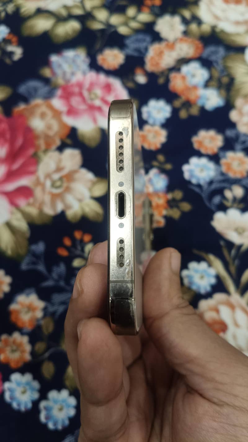 Apple iPhone 13 Pro Max 5