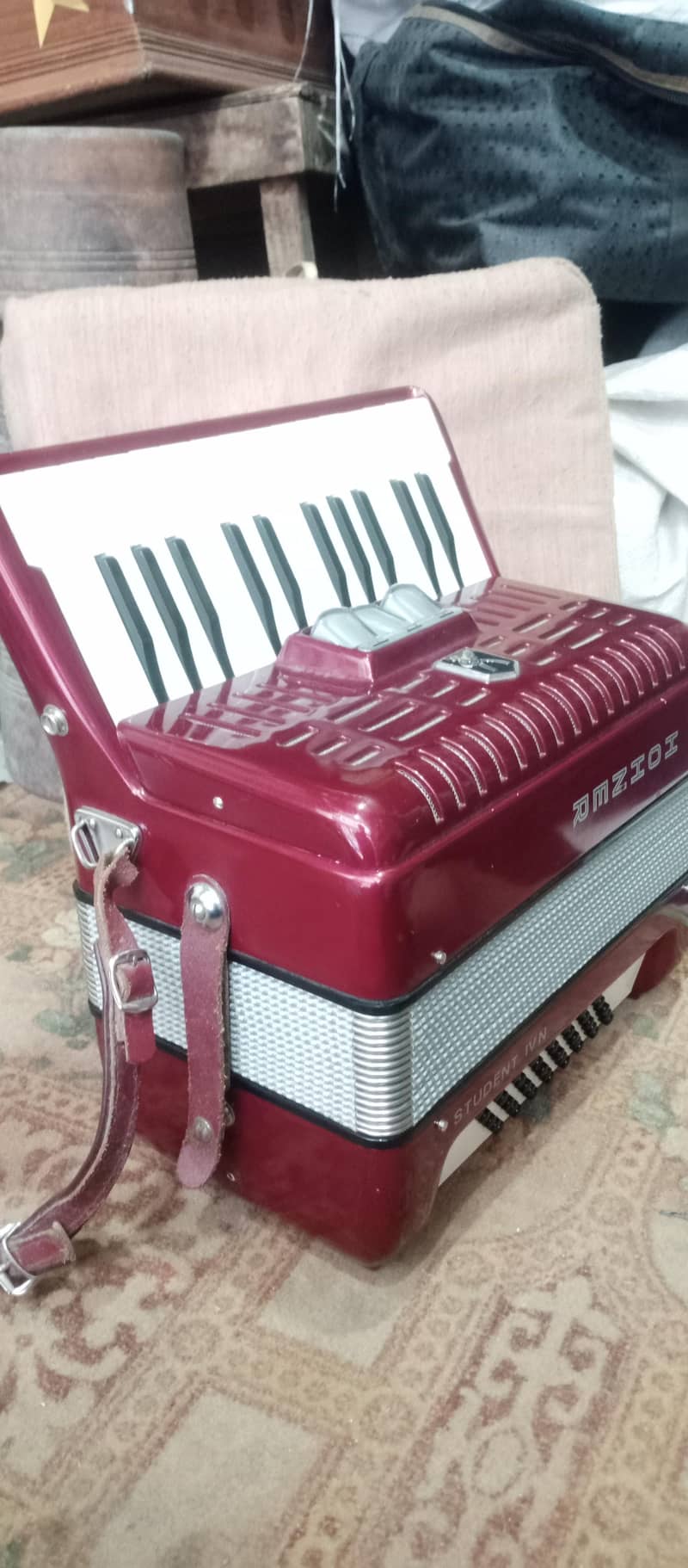 Accordion 7